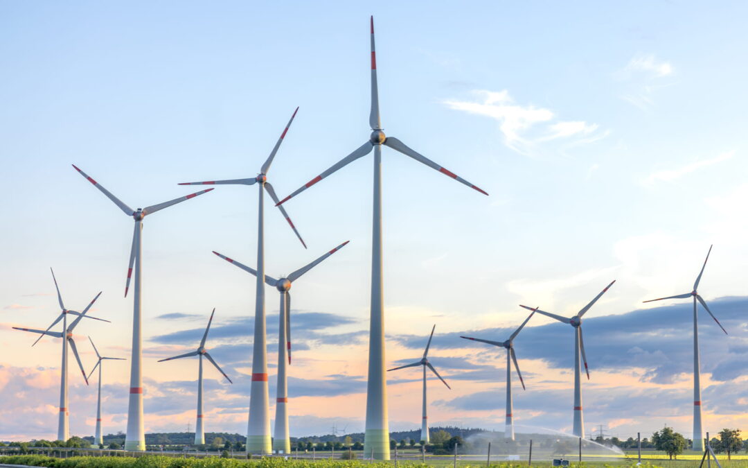 Commercial Solar Solution for Textile Factory