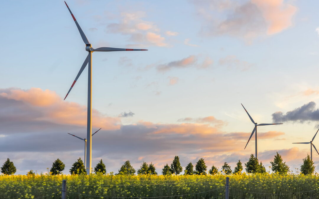 How to Choose the Best Solar Panel System for Your Home